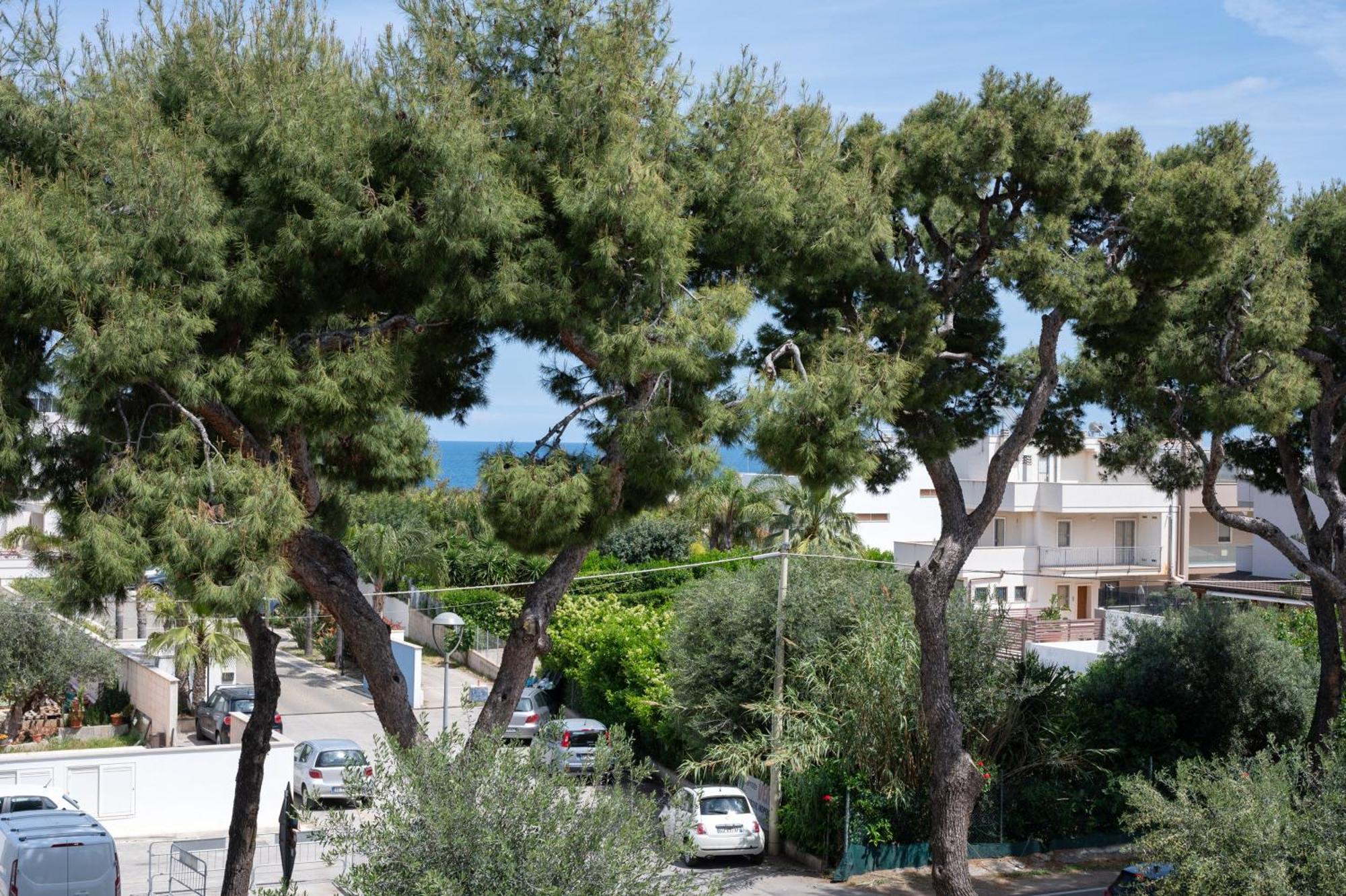 Monopoli Favolosa - Spacious 100Mq Apt. W/ Parking Eksteriør bilde